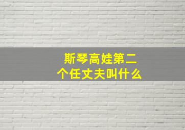 斯琴高娃第二个任丈夫叫什么