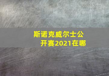 斯诺克威尔士公开赛2021在哪