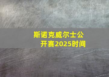 斯诺克威尔士公开赛2025时间