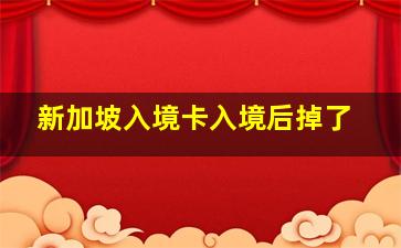 新加坡入境卡入境后掉了