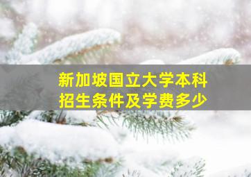 新加坡国立大学本科招生条件及学费多少