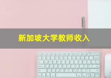 新加坡大学教师收入