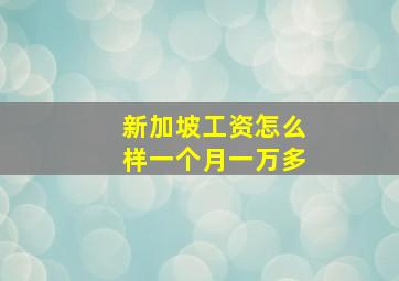 新加坡工资怎么样一个月一万多