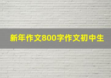 新年作文800字作文初中生