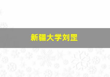 新疆大学刘罡