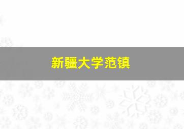 新疆大学范镇