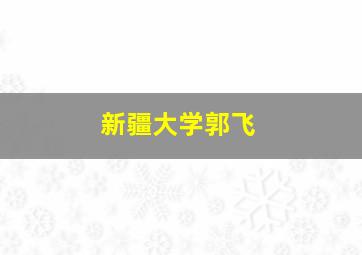 新疆大学郭飞