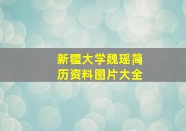 新疆大学魏瑶简历资料图片大全