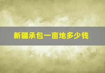 新疆承包一亩地多少钱