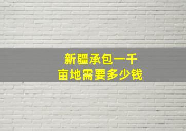 新疆承包一千亩地需要多少钱