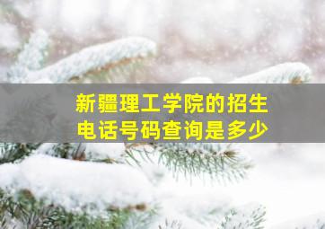 新疆理工学院的招生电话号码查询是多少