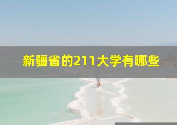 新疆省的211大学有哪些