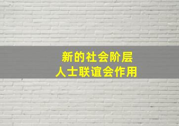 新的社会阶层人士联谊会作用