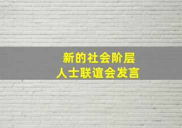 新的社会阶层人士联谊会发言