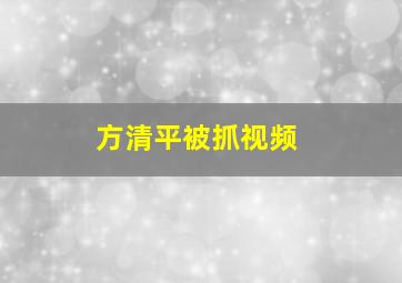 方清平被抓视频