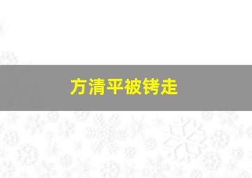 方清平被铐走