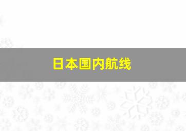 日本国内航线