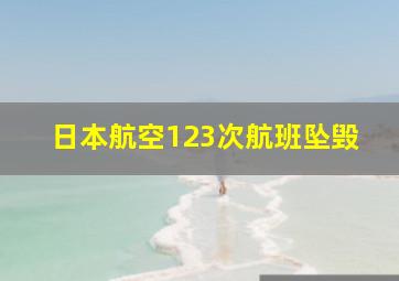 日本航空123次航班坠毁