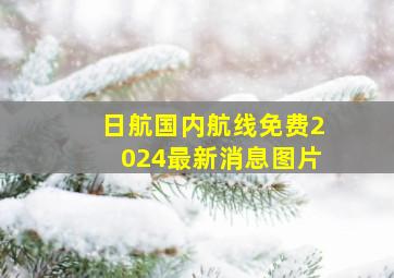 日航国内航线免费2024最新消息图片