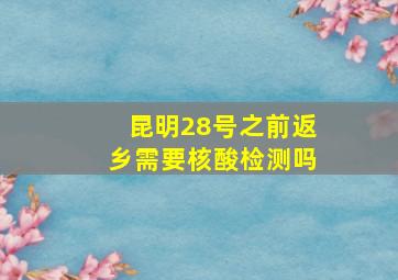 昆明28号之前返乡需要核酸检测吗