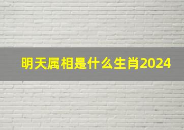 明天属相是什么生肖2024