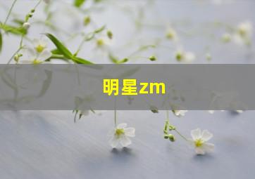 明星zm