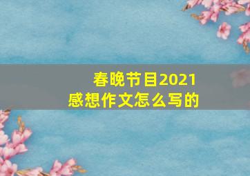 春晚节目2021感想作文怎么写的