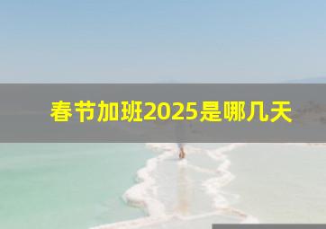 春节加班2025是哪几天