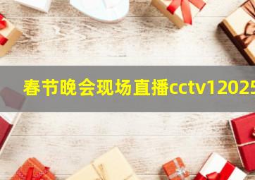 春节晚会现场直播cctv12025