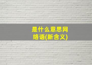 是什么意思网络语(新含义)