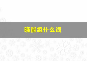 晓能组什么词