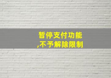 暂停支付功能,不予解除限制