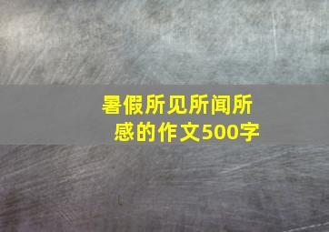 暑假所见所闻所感的作文500字