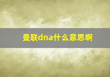 曼联dna什么意思啊