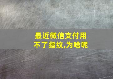 最近微信支付用不了指纹,为啥呢