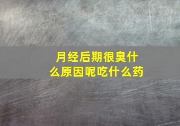 月经后期很臭什么原因呢吃什么药