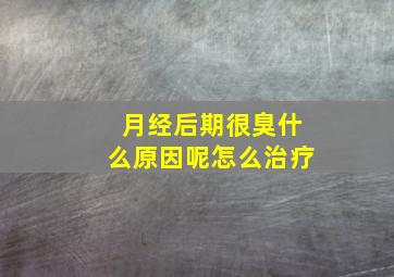 月经后期很臭什么原因呢怎么治疗