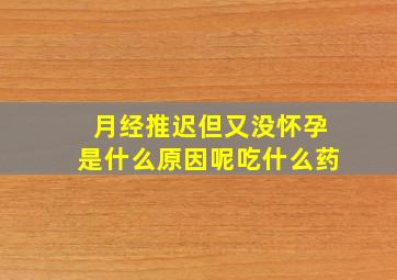 月经推迟但又没怀孕是什么原因呢吃什么药