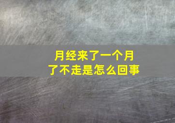 月经来了一个月了不走是怎么回事