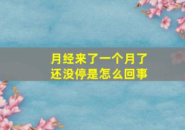 月经来了一个月了还没停是怎么回事