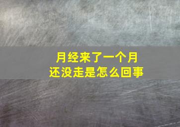 月经来了一个月还没走是怎么回事