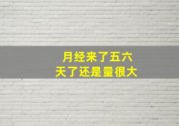 月经来了五六天了还是量很大