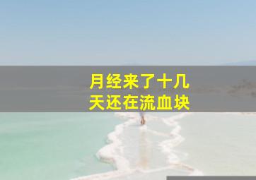 月经来了十几天还在流血块