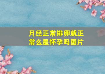 月经正常排卵就正常么是怀孕吗图片