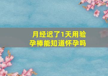 月经迟了1天用验孕棒能知道怀孕吗