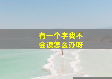 有一个字我不会读怎么办呀