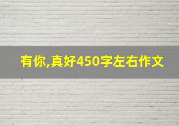 有你,真好450字左右作文