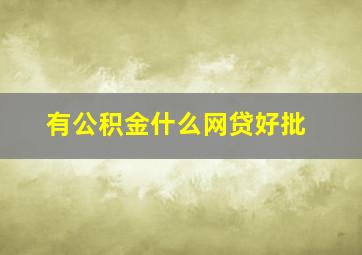 有公积金什么网贷好批