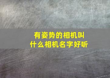 有姿势的相机叫什么相机名字好听