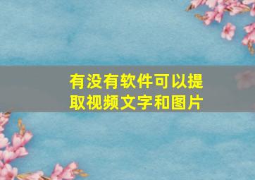 有没有软件可以提取视频文字和图片